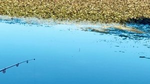 Краснодар, рыбалка водохранилище, сентябрь