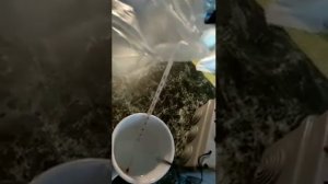 Контроллер XH-W3001 Корректировка значений температуры