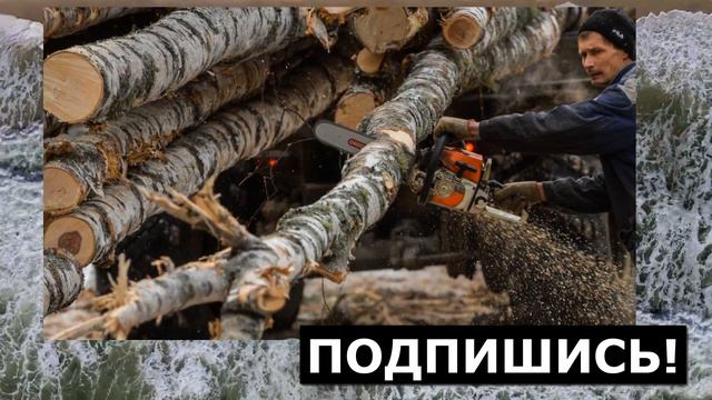 Халява закончилась: Финляндия начинает понимать, что натворила, но уже поздно! смотреть онлайн