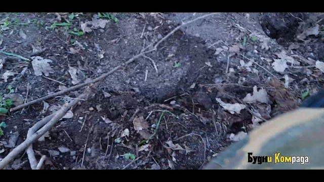 Что за лес ? Монеты не заканчиваются смотреть онлайн