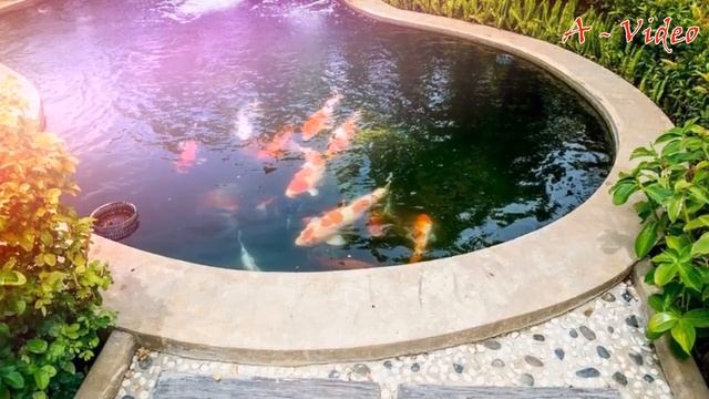 Оригинальные идеи для загородного участка / Original ideas for a suburban area смотреть онлайн