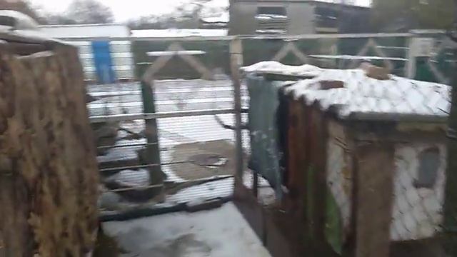 УТЕПЛЕНИЕ КЛЕТОК НА ЗИМУ. смотреть онлайн