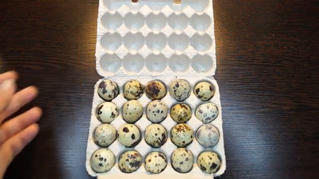 Оригинальный способ покрасить яйца. Пасхальная композиция из перепелиных яиц смотреть онлайн