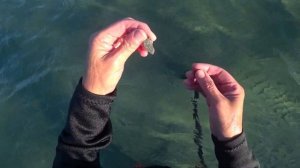 Пляжный поиск. Вот это удача. Нашла золото с металлоискателем на пляже в Анапе. Пляжный коп 2023.