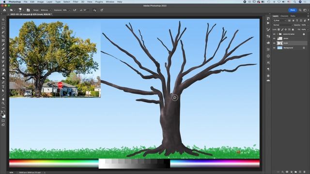 TREE - PHOTOSHOP TECHNIQUE смотреть онлайн