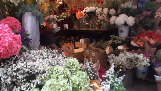 Прогулка по Болонье смотреть онлайн