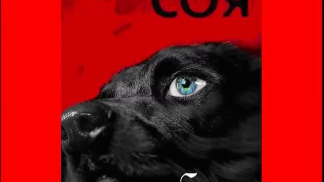 18 Глава 18 Вот где собака зарыта смотреть онлайн