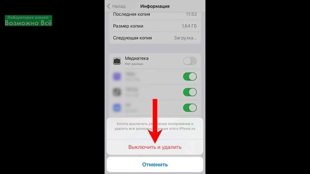 Как очистить iCloud хранилище на Айфоне если заполнено и удалить фото и видео из iCloud на iPhone смотреть онлайн