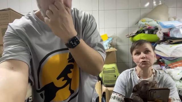 Спасение животных / Вечерний стрим в приюте Хвостатое 23/12/2022 смотреть онлайн
