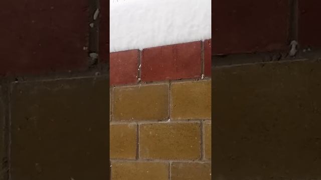 Снег в Бишкеке(1)