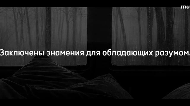 Власть принадлежит Аллаху! Мухаммад Аль-Люхьайдан Красивое Чтение Корана Сура Али Имран смотреть онлайн