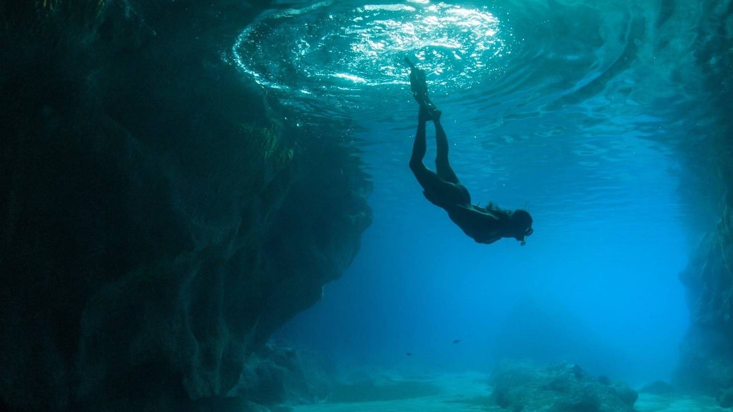 Познакомьтесь с самыми очаровательными рыбами рифов, морей и океанов.Зоопарк Discovery Online