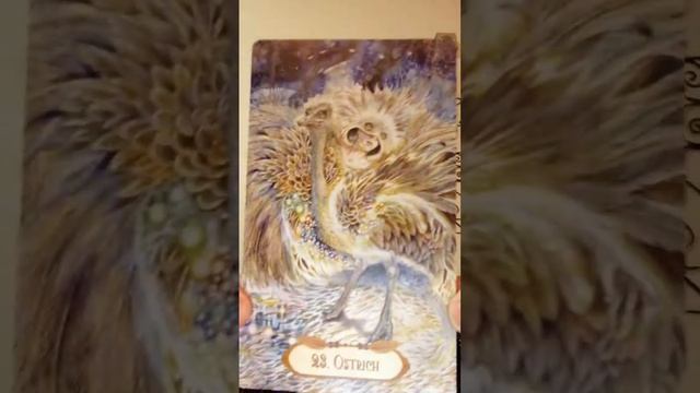 Review: Winged Enchantment Oracle, Lisa Hunt, U. S. Games Systems Inc., 2015. смотреть онлайн