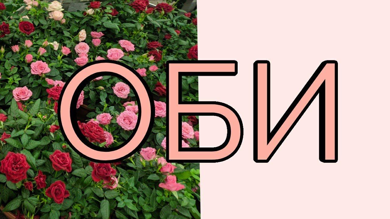 ОБИ.Кустарники, цветы смотреть онлайн