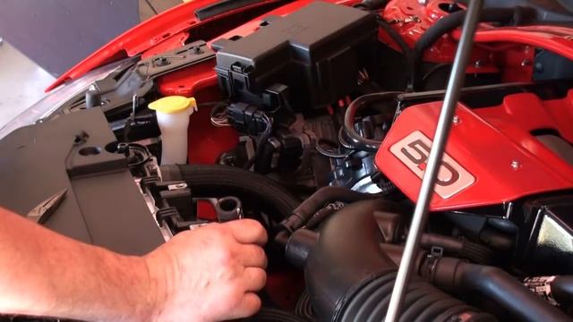 2015 Ford Mustang Granatelli Radiator Expansion Tank Install смотреть онлайн