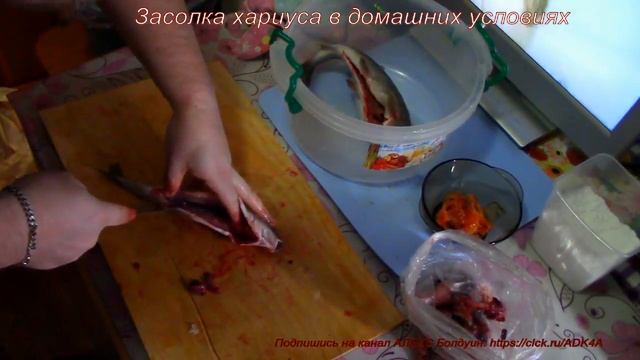 Засолка хариуса в домашних условиях. смотреть онлайн