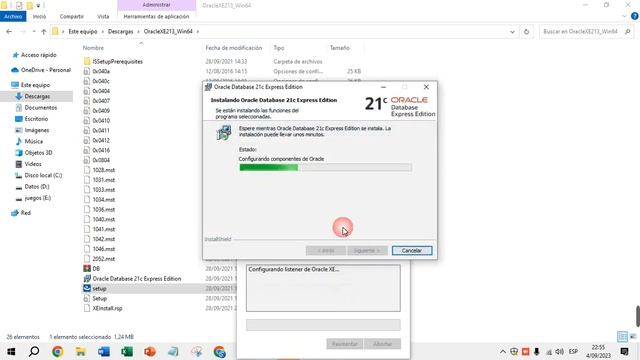 INSTALAR ORACLE DATABASE EXPRESS Y SQL DEVELOPER GRUPO 50114 ADMINISTRACION DE BD смотреть онлайн