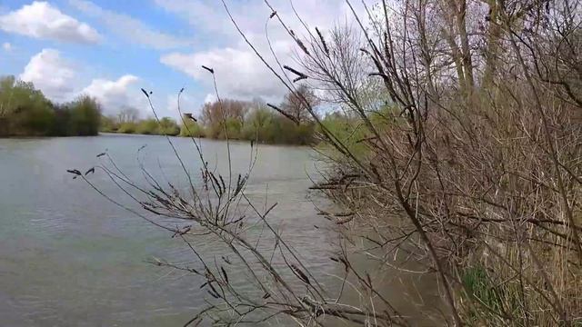 р. Кубань Темрюк смотреть онлайн