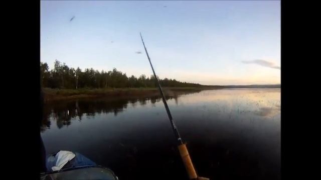 Ловля спиннербейтами на заросшем мелководье смотреть онлайн