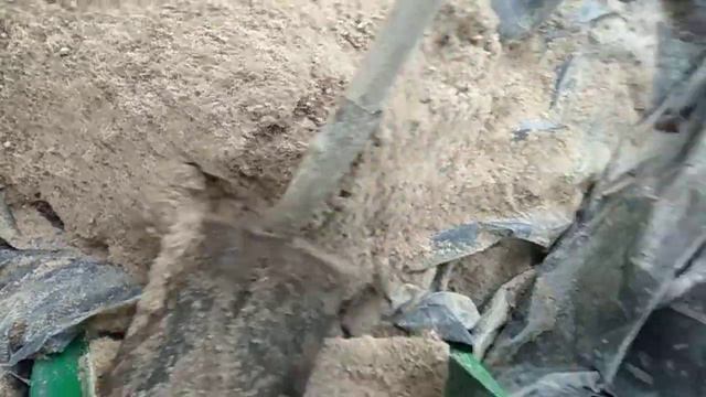 Procesamiento de Corozos de Palma de vino Attalea butiracea para alimentación animal смотреть онлайн