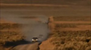 Дикие лошади в дикой природе.