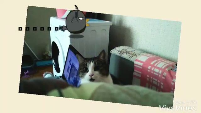 Муся смотреть онлайн