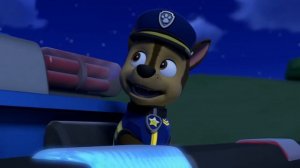 PAW Patrol and Cat Pack Rescues 🐈🎡| PAW Patrol Compilation | Cartoons for Kids