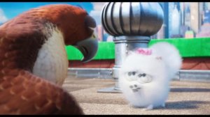 Тайная жизнь домашних животных