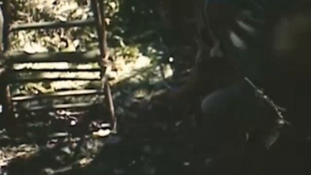 Indonesia. Java. Endangered animals, trap, rescue team in 1955 смотреть онлайн