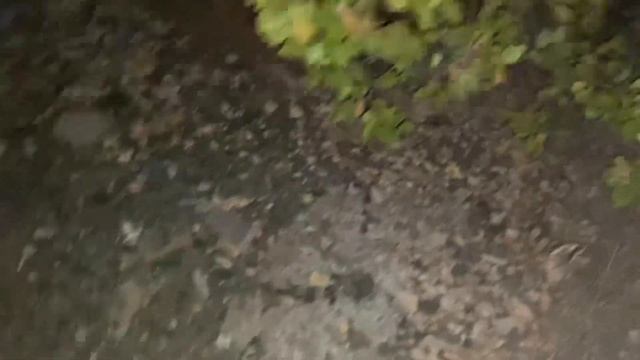 СКИНУЛИ С ВЫСОТЫ АЙФОН И ГИРОСКУТЕР!!!!??? смотреть онлайн