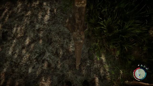 NEW Electric Fences Added! - Sons of The Forest Update 8 смотреть онлайн