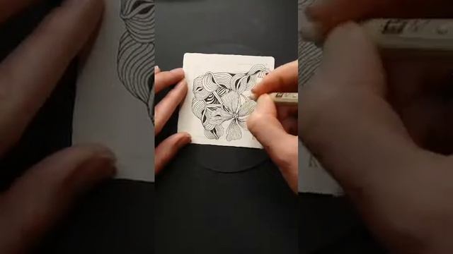 запись субботнего эфира в инстаграм смотреть онлайн