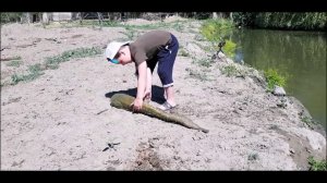 Шикарный Большой Сом►На Закидушку Рыбалка в Дагестане