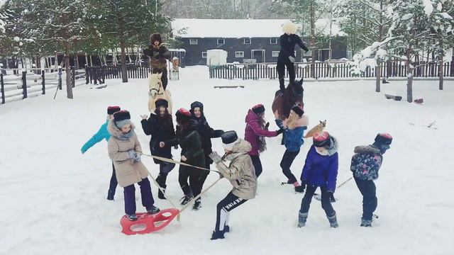 Harlem Shake | Конный лагерь «Казачок» смотреть онлайн