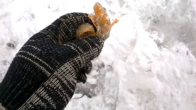 зимняя рыбалка 05.02.2017 бельдюга смотреть онлайн