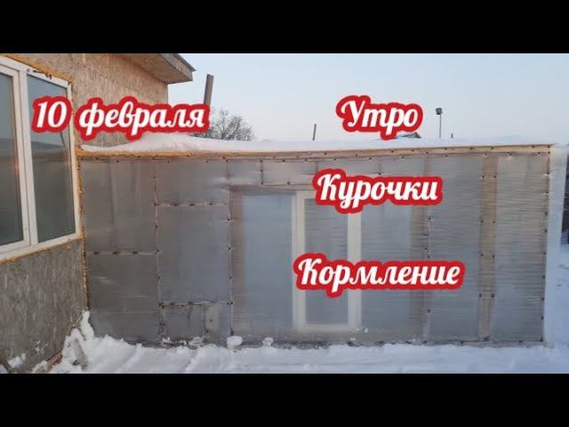 Обычное утро, у обычных курочек на зимнем выгуле... смотреть онлайн