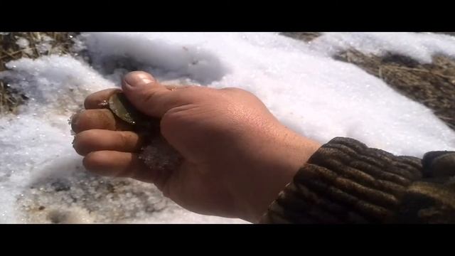первые монеты смотреть онлайн