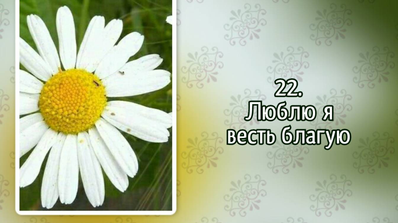 Гимны надежды 22 Люблю я весть благую (-) смотреть онлайн