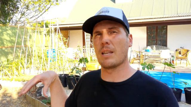 How to PLAN and START an urban food forest from scratch смотреть онлайн