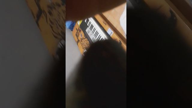 Como tocar el piano CASIO CTK-1500 смотреть онлайн