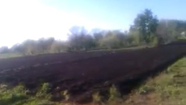 Аист ловит жучков на моем огороде и не боится трактора смотреть онлайн