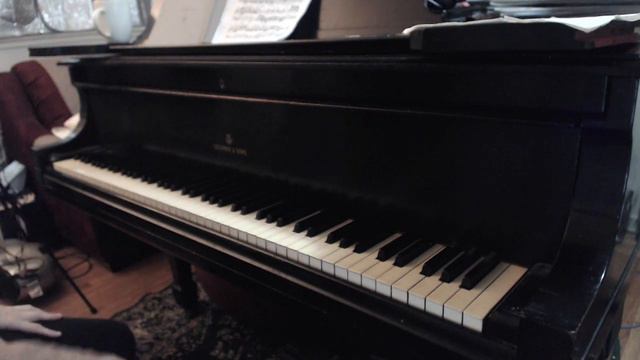 (HD) Piano Lesson in Progress, French Suite No. 3, Sarabande in B minor, BWV 814 смотреть онлайн