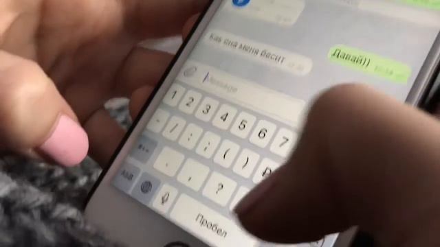 Встречи с дикими животными