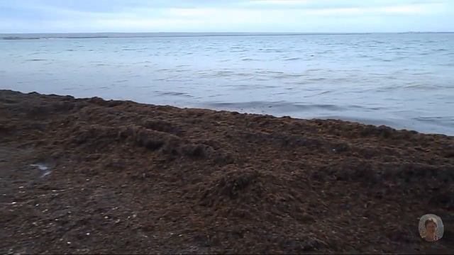 Крым,Межводное. 27 января. После шторма. смотреть онлайн