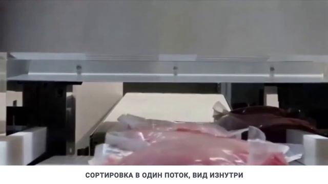 Металлодетектор: проверка сырья на этапе подачи - Pulsotronic смотреть онлайн