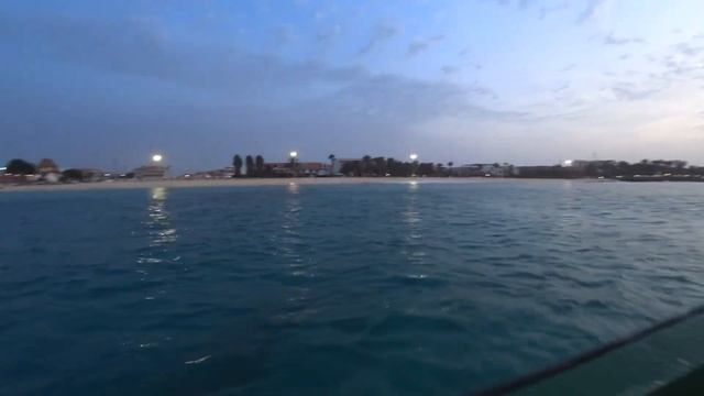 Подводная охота ,не пробил рыбу ваху , в чем проблема , три акулы хотели отнять у меня рыбу. смотреть онлайн