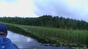 Рыбалка на озере в Ленинградской области. Июль 2019. Рыбные места №5.