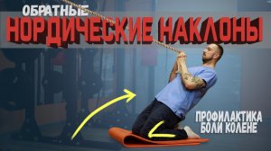 Упражнение для профилактики боли в колене | Разбор Упражнений