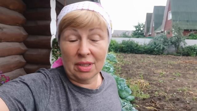 Бросила ТЫКВУ в сугроб и результат превзошел все ожидания. Куда девать столько тыкв? смотреть онлайн
