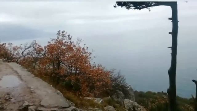Новогодние каникулы 2021 в Крыму. День 7 смотреть онлайн
